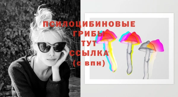 MDMA Premium VHQ Козловка