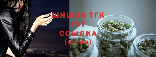 молекула духа Козельск