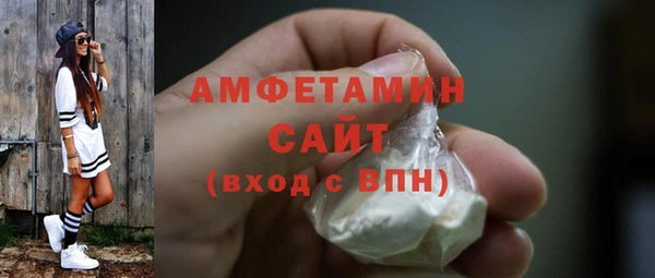молекула духа Козельск
