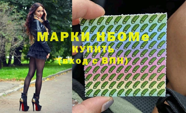 молекула духа Козельск
