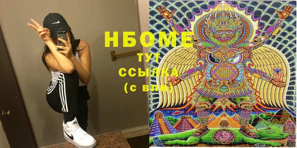 молекула духа Козельск
