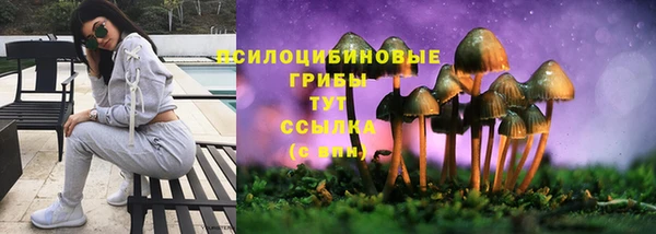 MDMA Premium VHQ Козловка