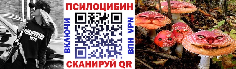 Галлюциногенные грибы мицелий Пермь
