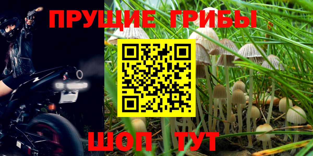 Галлюциногенные грибы Magic Shrooms  магазин продажи наркотиков  Пермь  Галлюциногенные грибы GOLDEN TEACHER 