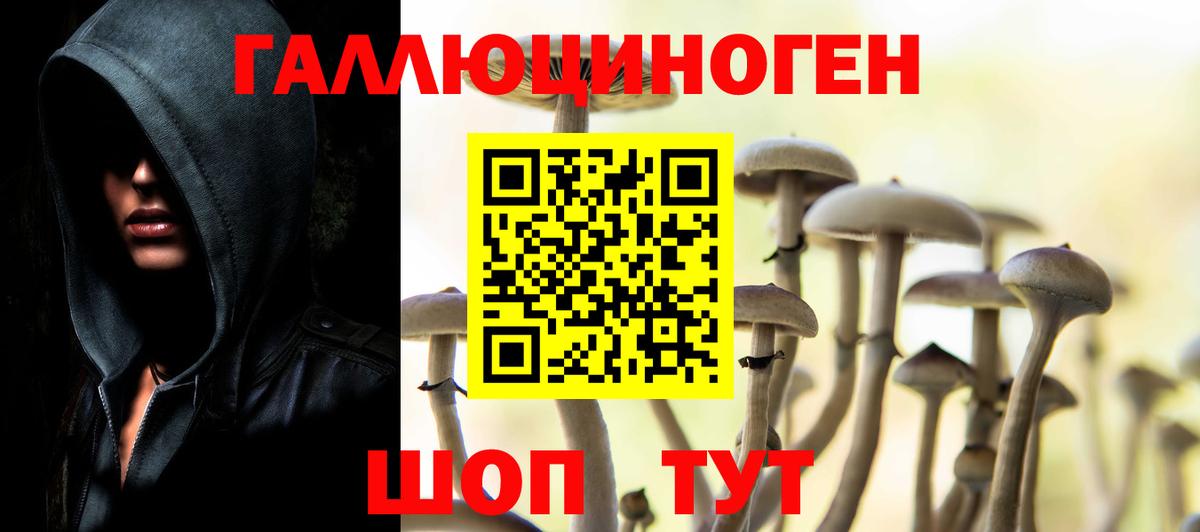 Пермь  продажа наркотиков  Вход с VPN  Галлюциногенные грибы Cubensis 